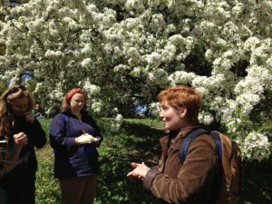 slow-food-foraging22