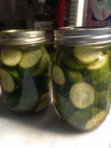 quick refrigerator pickles