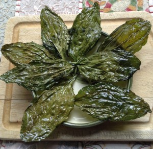 Crisp plantain (Plantago) leaf chips