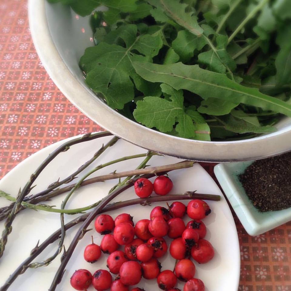 wild hawthorn, asparagus, and edible greens
